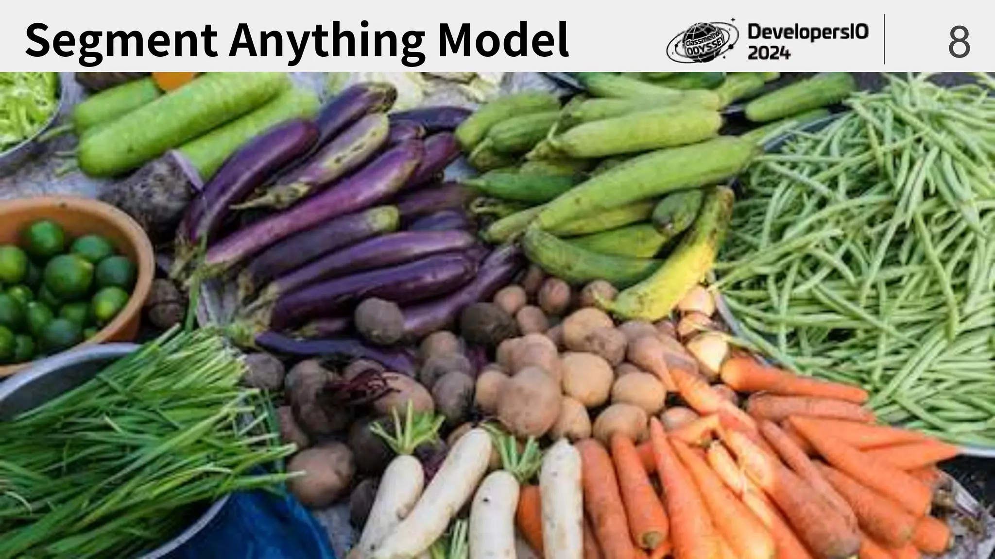 Segment Anything Model 8
 