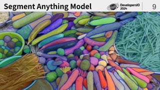 Segment Anything Model 9
 