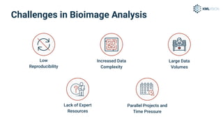 Advancing CAM Assay Image Analysis Using Deep Learning Software | PPT