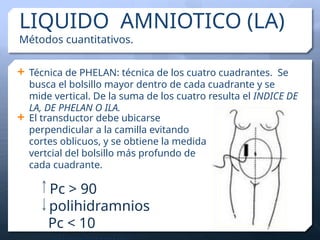 Phelan Normal 2024 - Ecografía líquido amniotico, placenta y cordon umbilical.pptx