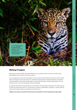 WWF
LIVING
PLANET
REPORT
2024
13
EXECUTIVE
SUMMARY
Making it happen
With every issue of the WWF Living Planet Report, we see a further decline in the state of nature and a
destabilization of the climate. This cannot continue.
It is no exaggeration to say that what happens in the next five years will determine the future of life on Earth.
We have five years to place the world on a sustainable trajectory before negative feedbacks of combined
nature degradation and climate change place us on the downhill slope of runaway tipping points. The risk
of failure is real – and the consequences almost unthinkable.
As a global community, we have agreed on a way forward. The global goals show where we want to be and
the path we need to take. All of us – governments, companies, organizations, individuals – need to walk the
walk, and be ready to hold to account those who fail to do so.
Together, we must be successful. We have just one living planet, and one opportunity to get it right.
EXECUTIVE
SUMMARY
WWF
LIVING
PLANET
REPORT
2024
13
It is no exaggeration
to say that what
happens in the next
five years will
determine the future
of life on Earth.
 