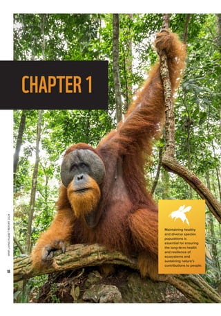 WWF
LIVING
PLANET
REPORT
2024
18
CHAPTER1
Maintaining healthy
and diverse species
populations is
essential for ensuring
the long-term health
and resilience of
ecosystems and
sustaining nature’s
contributions to people.
 