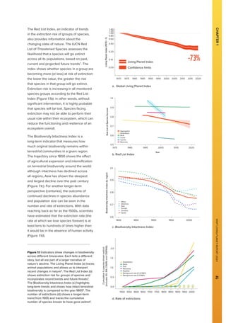 WWF
LIVING
PLANET
REPORT
2024
21
The Red List Index, an indicator of trends
in the extinction risk of groups of species,
also provides information about the
changing state of nature. The IUCN Red
List of Threatened Species assesses the
likelihood that a species will go extinct
across all its populations, based on past,
current and projected future trends7
. The
index shows whether species in a group are
becoming more (or less) at risk of extinction:
the lower the value, the greater the risk
that species in that group will go extinct.
Extinction risk is increasing in all monitored
species groups according to the Red List
Index (Figure 1.1b): in other words, without
significant intervention, it is highly probable
that species will be lost. Species facing
extinction may not be able to perform their
usual role within their ecosystem, which can
reduce the functioning and resilience of an
ecosystem overall.
The Biodiversity Intactness Index is a
long-term indicator that measures how
much original biodiversity remains within
terrestrial communities in a given region.
The trajectory since 1800 shows the effect
of agricultural expansion and intensification
on terrestrial biodiversity around the world:
although intactness has declined across
all regions, Asia has shown the steepest
and largest decline over the past century
(Figure 1.1c). For another longer-term
perspective (centuries), the outcome of
continued declines in species abundance
and population size can be seen in the
number and rate of extinctions. With data
reaching back as far as the 1500s, scientists
have estimated that the extinction rate (the
rate at which we lose species forever) is at
least tens to hundreds of times higher than
it would be in the absence of human activity
(Figure 1.1d).
Figure 1.1 Indicators show changes in biodiversity
across different timescales. Each tells a different
story, but all are part of a larger narrative of
nature’s decline. The Living Planet Index (a) tracks
animal populations and allows us to interpret
recent changes in nature8
. The Red List Index (b)
shows extinction risk for groups of species and
incorporates recent trends and future threats7
.
The Biodiversity Intactness Index (c) highlights
long-term trends and shows how intact terrestrial
biodiversity is compared to the year 18009
. The
number of extinctions (d) shows a longer-term
trend from 1500 and tracks the cumulative
number of species known to have gone extinct1
.
CHAPTER
1
0.5
0.7
0.8
0.9
1.0
0.6
1975 1985 1995 2005 2015 2025
Year
Red
List
of
Species
Survival
Aggregated
Amphibians
Birds
Corals
Cycads
Mammals
Africa
Americas
Asia
Europe
Globe
Oceania
0.6
0.8
0.9
1.0
0.7
1800 1850 1900 1950 2000
Year
Biodiversity
Intactness
Index
by
region
0.0
1.0
1.5
2.0
0.5
1500 1550 1600 1650 1700 1750 1800 1850 1900 1950 2000
Year
Cumulative
%
species
driven
extinct
(includes
EX,
EW,
CR(PE)
and
CR(PEW))
Amphibians
Background rate (0.1 E/SMY)
Background rate (2 E/SMY)
Birds
Fish
Mammals
Reptiles
a. Global Living Planet Index
b. Red List Index
c. Biodiversity Intactness Index
d. Rate of extinctions
Living Planet Index
Confidence limits
0.05
0.10
0.20
0.40
0.60
0.80
1.00
1.40
1.20
1970 1975 1980 1985 1990 1995 2000 2005 2010 2015 2020
Year
Living
Planet
Index
(1970
=
1)
Global Living Planet Index
-73%
 