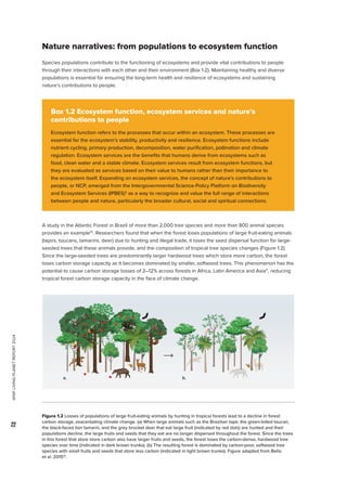 WWF
LIVING
PLANET
REPORT
2024
22
Nature narratives: from populations to ecosystem function
Species populations contribute to the functioning of ecosystems and provide vital contributions to people
through their interactions with each other and their environment (Box 1.2). Maintaining healthy and diverse
populations is essential for ensuring the long-term health and resilience of ecosystems and sustaining
nature’s contributions to people.
A study in the Atlantic Forest in Brazil of more than 2,000 tree species and more than 800 animal species
provides an example10
. Researchers found that when the forest loses populations of large fruit-eating animals
(tapirs, toucans, tamarins, deer) due to hunting and illegal trade, it loses the seed dispersal function for large-
seeded trees that these animals provide, and the composition of tropical tree species changes (Figure 1.2).
Since the large-seeded trees are predominantly larger hardwood trees which store more carbon, the forest
loses carbon storage capacity as it becomes dominated by smaller, softwood trees. This phenomenon has the
potential to cause carbon storage losses of 2–12% across forests in Africa, Latin America and Asia11
, reducing
tropical forest carbon storage capacity in the face of climate change.
Box 1.2 Ecosystem function, ecosystem services and nature’s
contributions to people
Ecosystem function refers to the processes that occur within an ecosystem. These processes are
essential for the ecosystem’s stability, productivity and resilience. Ecosystem functions include
nutrient cycling, primary production, decomposition, water purification, pollination and climate
regulation. Ecosystem services are the benefits that humans derive from ecosystems such as
food, clean water and a stable climate. Ecosystem services result from ecosystem functions, but
they are evaluated as services based on their value to humans rather than their importance to
the ecosystem itself. Expanding on ecosystem services, the concept of nature’s contributions to
people, or NCP, emerged from the Intergovernmental Science-Policy Platform on Biodiversity
and Ecosystem Services (IPBES)3
as a way to recognize and value the full range of interactions
between people and nature, particularly the broader cultural, social and spiritual connections.
Figure 1.2 Losses of populations of large fruit-eating animals by hunting in tropical forests lead to a decline in forest
carbon storage, exacerbating climate change. (a) When large animals such as the Brazilian tapir, the green-billed toucan,
the black-faced lion tamarin, and the grey brocket deer that eat large fruit (indicated by red dots) are hunted and their
populations decline, the large fruits and seeds that they eat are no longer dispersed throughout the forest. Since the trees
in this forest that store more carbon also have larger fruits and seeds, the forest loses the carbon-dense, hardwood tree
species over time (indicated in dark brown trunks). (b) The resulting forest is dominated by carbon-poor, softwood tree
species with small fruits and seeds that store less carbon (indicated in light brown trunks). Figure adapted from Bello
et al. 201510
.
a. b.
 