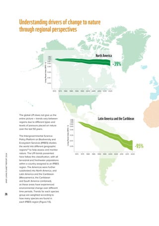 WWF
LIVING
PLANET
REPORT
2024
26
Understandingdriversofchangetonature
throughregionalperspectives
The global LPI does not give us the
entire picture – trends vary between
regions due to different types and
levels of pressure placed on nature
over the last 50 years.
The Intergovernmental Science-
Policy Platform on Biodiversity and
Ecosystem Services (IPBES) divides
the world into different geographic
regions24
to help assess and monitor
nature. The LPI trends presented
here follow this classification, with all
terrestrial and freshwater populations
within a country assigned to an IPBES
region. The Americas were further
subdivided into North America, and
Latin America and the Caribbean
(Mesoamerica, the Caribbean
and South America combined),
as these areas have experienced
environmental change over different
time periods. Trends for each species
group are weighted according to
how many species are found in
each IPBES region (Figure 1.5).
0.05
0.10
0.20
0.40
0.60
0.80
1.00
1.40
1.20
1970 1975 1980 1985 1990 1995 2000 2005 2010 2015 2020
Year
Living
Planet
Index
(1970
=
1)
North America LPI
NorthAmerica
-39%
0.05
0.10
0.20
0.40
0.60
0.80
1.00
1.40
1.20
1970 1975 1980 1985 1990 1995 2000 2005 2010 2015 2020
Year
Living
Planet
Index
(1970
=
1)
Latin America  the Caribbean LPI
LatinAmericaandtheCaribbean
-95%
 