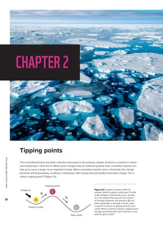 WWF
LIVING
PLANET
REPORT
2024
34
The Living Planet Index and other indicators discussed in the previous chapter all point to a decline in nature
and biodiversity in all its forms. While some changes may be small and gradual, their cumulative impacts can
add up to cause a larger, more important change. When cumulative impacts reach a threshold, the change
becomes self-perpetuating, resulting in substantial, often abrupt and potentially irreversible change. This is
called a tipping point54
(Figure 2.1).
Tipping points
CHAPTER2
Figure 2.1 A system remains within its
present state (A, yellow circle) even if small-
scale changes continuously occur, as long
as it can absorb the pressures (or drivers
of change). However, the pressure (B) can
either gradually, or through a shock, push
a system to its limit or tipping point (C, pink
circle). When a system reaches a tipping point
change accelerates (D) until it reaches a new
state (E, grey circle)55
.
Pressure
Tipping point
Present state
New state
A
E
C
B
D
 