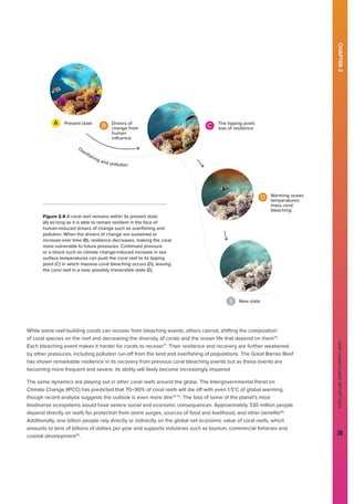 WWF
LIVING
PLANET
REPORT
2024
39
While some reef-building corals can recover from bleaching events, others cannot, shifting the composition
of coral species on the reef and decreasing the diversity of corals and the ocean life that depend on them70
.
Each bleaching event makes it harder for corals to recover71
. Their resilience and recovery are further weakened
by other pressures, including pollution run-off from the land and overfishing of populations. The Great Barrier Reef
has shown remarkable resilience in its recovery from previous coral bleaching events but as these events are
becoming more frequent and severe, its ability will likely become increasingly impaired.
The same dynamics are playing out in other coral reefs around the globe. The Intergovernmental Panel on
Climate Change (IPCC) has predicted that 70–90% of coral reefs will die off with even 1.5°C of global warming,
though recent analysis suggests the outlook is even more dire72-74
. The loss of some of the planet’s most
biodiverse ecosystems would have severe social and economic consequences. Approximately 330 million people
depend directly on reefs for protection from storm surges, sources of food and livelihood, and other benefits56
.
Additionally, one billion people rely directly or indirectly on the global net economic value of coral reefs, which
amounts to tens of billions of dollars per year and supports industries such as tourism, commercial fisheries and
coastal development75
.
CHAPTER
2
WWF
LIVING
PLANET
REPORT
2024
39
Warming ocean
temperatures:
mass coral
bleaching
D
New state
E
Overfishing and pollution
Present state
A The tipping point:
loss of resilience
C
Drivers of
change from
human
influence
B
Figure 2.4 A coral reef remains within its present state
(A) as long as it is able to remain resilient in the face of
human-induced drivers of change such as overfishing and
pollution. When the drivers of change are sustained or
increase over time (B), resilience decreases, making the coral
more vulnerable to future pressures. Continued pressure
or a shock such as climate change-induced increase in sea
surface temperatures can push the coral reef to its tipping
point (C) in which massive coral bleaching occurs (D), leaving
the coral reef in a new, possibly irreversible state (E).
 