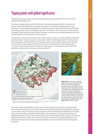 WWF
LIVING
PLANET
REPORT
2024
41
CHAPTER
2
WWF
LIVING
PLANET
REPORT
2024
41
Tippingpointswithglobalsignificance
Tipping points can have impacts that reverberate far beyond the region of origin. This is the fear for the
Amazon rainforest (Figure 2.6).
The Amazon rainforest holds more than 10% of Earth’s terrestrial biodiversity and 10% of all known fish
species79
, stores 250–300 billion tons of carbon (equivalent to 15–20 years of global greenhouse gas
emissions80
), and contributes significantly to the rainfall to the southern Amazon, Pantanal and La Plata Basin
where Rio de Janeiro, São Paulo and Buenos Aires sit81
. The Amazon is also home to over 47 million people,
including 2.2 million Indigenous and traditional inhabitants, whose cultures are deeply interwoven with nature
and who depend on the sustainable use of its resources.
Transpiration, or water vapor released from the surface of plants, creates much of the rainfall that sustains the
forest and makes it resilient to drought – as long as the rainforest remains largely intact82
. But deforestation,
forest degradation and disturbance are decreasing the resilience of the system, making it more vulnerable
to future climatic change (Figure 2.7). Resilience will be further weakened by the mass mortality events –
the sudden deaths of large numbers of animals of a single species – which large parts of the Amazon are
expected to experience due to land-use and climate change83,84
.
As climate change and deforestation lead to reduced rainfall, a tipping point could be reached where the
environmental conditions across much of the Amazon biome become unsuitable for tropical forest, triggering
an irreversible change. The impacts would be devastating, with irreversible losses of biodiversity and cultural
value, changes to regional and global weather patterns, and implications for agricultural productivity and
global food supplies. A change of this magnitude would also accelerate global climate change, as the Amazon
would shift from being a carbon sink to a source of emissions through fires and plants dying off. Up to 75
billion tons of carbon could be released into the atmosphere which would render the 1.5°C goal impossible
to achieve90
.
Figure 2.6 Current land occupied by
anthropic land uses85
(red) within the
Amazon rainforest biogeographic
boundary, which spans eight countries
and one territory. Twenty-two per cent
of the biome is in protected areas only
(dark green), 25% is in Indigenous
territories only (light green) and 6% is
in both protected areas and Indigenous
territories (hatch). Fourteen per cent of
the original forested area of the biome
was deforested by 201886
. Data from
RAISG 202287
, 202288
, 202289
.
 
