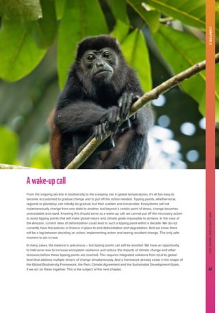 WWF
LIVING
PLANET
REPORT
2024
43
Awake-upcall
From the ongoing decline in biodiversity to the creeping rise in global temperatures, it’s all too easy to
become accustomed to gradual change and to put off the action needed. Tipping points, whether local,
regional or planetary, can initially be gradual, but then sudden and irreversible. Ecosystems will not
instantaneously change from one state to another, but beyond a certain point of stress, change becomes
unavoidable and rapid. Knowing this should serve as a wake-up call; we cannot put off the necessary action
to avoid tipping points that will make global nature and climate goals impossible to achieve. In the case of
the Amazon, current rates of deforestation could lead to such a tipping point within a decade. We do not
currently have the policies or finance in place to end deforestation and degradation. And we know there
will be a lag between deciding on action, implementing action and seeing resultant change. The only safe
moment to act is now.
In many cases, the balance is precarious – but tipping points can still be avoided. We have an opportunity
to intervene now to increase ecosystem resilience and reduce the impacts of climate change and other
stressors before these tipping points are reached. This requires integrated solutions from local to global
level that address multiple drivers of change simultaneously. And a framework already exists in the shape of
the Global Biodiversity Framework, the Paris Climate Agreement and the Sustainable Development Goals,
if we act on these together. This is the subject of the next chapter.
CHAPTER
2
WWF
LIVING
PLANET
REPORT
2024
43
 