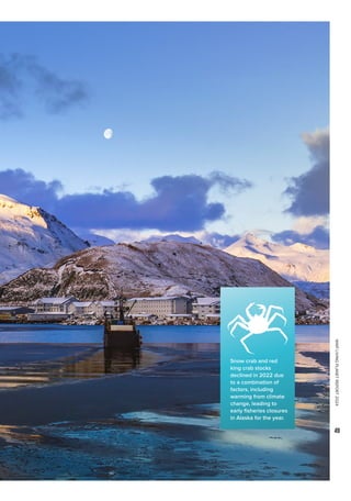 WWF
LIVING
PLANET
REPORT
2024
49
Snow crab and red
king crab stocks
declined in 2022 due
to a combination of
factors, including
warming from climate
change, leading to
early fisheries closures
in Alaska for the year.
 