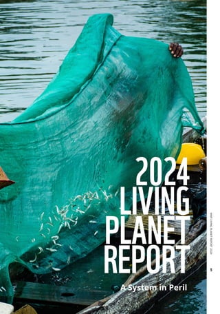 WWF
LIVING
PLANET
REPORT
2024
5
 