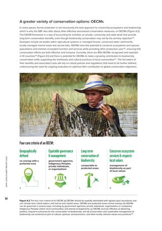 WWF
LIVING
PLANET
REPORT
2024
54
A greater variety of conservation options: OECMs
In some places, formal protection is not necessarily the best approach to conserving ecosystems and biodiversity,
which is why the GBF also talks about other effective area-based conservation measures, or OECMs (Figure 4.2).
The OECM framework is a way of accounting for activities on private, community and state lands that provide
long-term conservation benefits, even though biodiversity conservation may not be the primary objective125
.
Examples include set-asides within agricultural systems or managed forests, conserved water catchments,
locally managed marine areas and sacred sites. OECMs have the potential to conserve ecosystems and species
populations and maintain ecosystem function and services while providing other productive uses126
, ensuring that
conservation efforts are both effective and inclusive. Currently, there are 856 OECMs recognized and reported
in 10 countries116
(Figure 4.1) and there is potential for OECMs to make a growing contribution to biodiversity
conservation while supporting the livelihoods and cultural practices of local communities127
. The full extent of
their benefits and associated costs will rely on robust policies and regulations that need to be further defined,
underscoring the need for ongoing evaluation to optimize their contribution to global conservation objectives.
Figure 4.2 The four core criteria of an OECM: (a) OECMs should be spatially delineated with agreed-upon boundaries and
can include land, inland waters, and marine and coastal areas. OECMs and protected areas cannot overlap; (b) OECMs
can be governed in several ways, including by government agencies; private individuals, organizations or companies;
Indigenous Peoples and/or local communities; and shared arrangements; (c) OECMs must be effective at delivering
positive, long-term outcomes for the conservation of biodiversity; and (d) Conservation and sustainable management of
biodiversity are achieved as part of cultural, spiritual, socioeconomic, and other locally relevant values and practices128
.
no overlap with a
protected area
government agencies,
Indigenous Peoples,
private individuals,
or organizations
comparable to
protected areas
management of
biodiversity as part
of local values
Geographically
defined
Equitablegovernance
management
Long-term
conservationof
biodiversity
Conservesecosystem
servicesrespects
localvalues
FourcorecriteriaofanOECM:
a. b. c. d.
 
