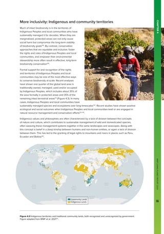 WWF
LIVING
PLANET
REPORT
2024
55
More inclusivity: Indigenous and community territories
Much of intact biodiversity is in the territories of
Indigenous Peoples and local communities who have
sustainably managed it for decades. When they are
marginalized, protected areas can not only cause
social harm but compromise the long-term viability
of biodiversity goals129
. By contrast, conservation
approaches that are equitable and inclusive, foster
the rights and roles of Indigenous Peoples and local
communities, and empower their environmental
stewardship more often result in effective, long-term
biodiversity conservation130
.
Formal support for and recognition of the rights
and territories of Indigenous Peoples and local
communities may be one of the most effective ways
to conserve biodiversity at scale. Recent analyses
have shown one quarter of the global land area is
traditionally owned, managed, used and/or occupied
by Indigenous Peoples, which includes about 35% of
the area formally in protected areas and 35% of the
remaining intact terrestrial areas131
(Figure 4.3). In many
cases, Indigenous Peoples and local communities have
sustainably managed species and ecosystems over long timescales132
. Recent studies have shown positive
ecological and social outcomes when Indigenous Peoples and local communities lead or are engaged in
natural resource management and conservation efforts132-135
.
Indigenous values and philosophies are often characterized by a lack of division between the concepts
of nature and culture, which contributes to sustainable management of wild and domesticated species,
often weaving these management systems together in the same landscapes and seascapes. Along with
this concept is belief in a deep kinship between humans and non-human entities, or again a lack of division
between them. This has led to the granting of legal rights to mountains and rivers in places such as Peru,
Ecuador and Bolivia136
.
Figure 4.3 Indigenous territories and traditional community lands, both recognized and unrecognized by government.
Figure adapted from WWF et al. 2021137
.
CHAPTER
4
WWF
LIVING
PLANET
REPORT
2024
55
 