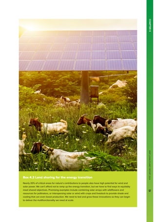 WWF
LIVING
PLANET
REPORT
2024
57
CHAPTER
4
Box 4.2 Land sharing for the energy transition
Nearly 20% of critical areas for nature’s contributions to people also have high potential for wind and
solar power. We can’t afford not to ramp up the energy transition, but we have to find ways to equitably
meet shared objectives. Promising examples include combining solar arrays with wildflowers and
resources for pollinators, or interspersing solar or wind with crops and livestock to provide shade and
cooling that can even boost production. We need to test and grow these innovations so they can begin
to deliver the multifunctionality we need at scale.
WWF
LIVING
PLANET
REPORT
2024
57
 