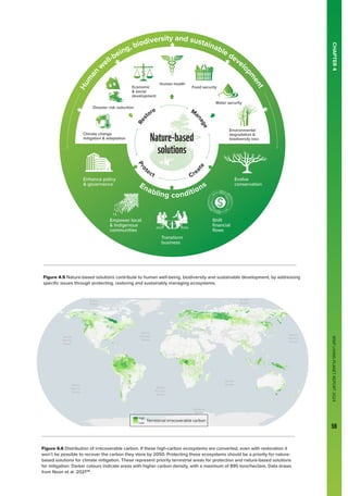 WWF
LIVING
PLANET
REPORT
2024
59
Figure 4.6 Distribution of irrecoverable carbon. If these high-carbon ecosystems are converted, even with restoration it
won’t be possible to recover the carbon they store by 2050. Protecting these ecosystems should be a priority for nature-
based solutions for climate mitigation. These represent priority terrestrial areas for protection and nature-based solutions
for mitigation. Darker colours indicate areas with higher carbon density, with a maximum of 895 tons/hectare. Data draws
from Noon et al. 2021146
.
CHAPTER
4
Figure 4.5 Nature-based solutions contribute to human well-being, biodiversity and sustainable development, by addressing
specific issues through protecting, restoring and sustainably managing ecosystems.
Climate change
mitigation  adaptation
Environmental
degradation 
biodiversity loss
Disaster risk reduction
Food security
Water security
Human health
Economic
 social
development
H
u
m
a
n
w
ell-being, biodiversity and sustainable develo
p
m
e
n
t
Empower local
 Indigenous
communities
Transform
business
Shift
financial
flows
Enhance policy
 governance
Evolve
conservation
Enabling conditions
P
r
o
tect Crea
t
e
R
e
s
tore Ma
n
a
g
e
 