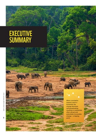 WWF
LIVING
PLANET
REPORT
2024
6
EXECUTIVE
SUMMARY
When cumulative
impacts reach a
threshold, the
change becomes
self-perpetuating,
resulting in substantial,
often abrupt and
potentially irreversible
change – a tipping
point.
 