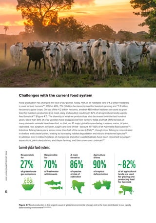 WWF
LIVING
PLANET
REPORT
2024
62
Challenges with the current food system
Food production has changed the face of our planet. Today, 40% of all habitable land (~4.2 billion hectares)
is used to feed humans163
. Of that 40%, 71% (3 billion hectares) is used for livestock grazing and ~1.2 billion
hectares to grow crops. On top of the 4.2 billion hectares, another 460 million hectares are used to grow
feed for livestock production (red meat, dairy and poultry) resulting in 82% of all agricultural lands used to
feed livestock163
(Figure 4.7). The diversity of what we produce has also decreased over the last hundred
years. More than 90% of crop varieties have disappeared from farmers’ fields and half of the breeds of
many domestic animals have been lost, so that just 10 major global crops—barley, cassava, maize, oil palm,
rapeseed, rice, sorghum, soybean, sugar cane and wheat—account for ~83% of all harvested food calories164
.
Industrial fishing takes place across more than half of the ocean (55%)165
, though most fishing is concentrated
in shallow and coastal zones, leading to increasing habitat degradation and risks to threatened species166
.
In addition, over 3 million hectares of mangroves and other coastal habitats have been converted to support
aquaculture, particularly shrimp and tilapia farming, and the conversion continues167
.
Figure 4.7 Food production is the largest cause of global environmental change and is the main contributor to our rapidly
deteriorating environment159,163,168,169
.
Currentglobalfoodsystems:
Responsible
for
Responsible
for
A main
threat to
Agriculture
drives
of greenhouse
gas emissions
of freshwater
withdrawals
of species
at risk of
extinction
of tropical
deforestation
of all agricultural
lands are used
for grazing and
producing feed
for livestock
27% 70% 86% 90% 82%
 