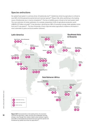 WWF
LIVING
PLANET
REPORT
2024
64
Species extinctions
Our global food system is a primary driver of biodiversity loss159
. Habitat loss driven by agriculture is a threat to
over 80% of all threatened terrestrial bird and mammal species187
(Figure 4.8), while overfishing is the leading
cause of biodiversity loss in marine ecosystems36
. The loss of wildlife poses a threat to the food system itself.
The near extinction of certain pollinators, for example, jeopardizes 5–8% of agricultural production worth
US$235–577 billion annually188
. Crop diversity is declining too: 86% of humanity’s energy intake globally comes
from just 17 crop plants189
. The loss of diversity in food crops decreases agriculture’s resilience and leaves it
more vulnerable to pests and local weather extremes1
.
Figure 4.8 Food production is the leading driver of conversion.
Commercial agriculture, cattle ranching and smallholder farming
all play a role, though their relative impact varies between regions.
Over 80% of all threatened terrestrial bird and mammal species are
threatened by habitat loss driven by agriculture169
.
Smallholder farming
Large-scale agriculture
Cattle ranching
Eastern
Australia
New Guinea –
Indonesia/PNG
Borneo –
Indonesia/Malaysia
Mekong – Cambodia
Sumatra – Indonesia
Mekong – Laos
Mekong – Myanmar
Southeast Asia
 Oceania
Amazon – Colombia
Amazon – Peru
Amazon –
Venezuela/Guyana
Maya Forests – Mexico/Guatemala
Amazon – Bolivia
Gran Chaco – Paraguay/Argentina
Amazon –
Colombia/Ecuador
Amazon – Brazil
Cerrado – Brazil
Latin America
Sub-Saharan Africa
West Africa –
Liberia/Ivory Coast/Ghana
Central Africa –
DRC/CAR
Central Africa –
Gabon/Cameroon/
Republic of Congo
Central Africa –
Angola
Central Africa –
Zambia East Africa –
Mozambique
East Africa –
Madagascar
 
