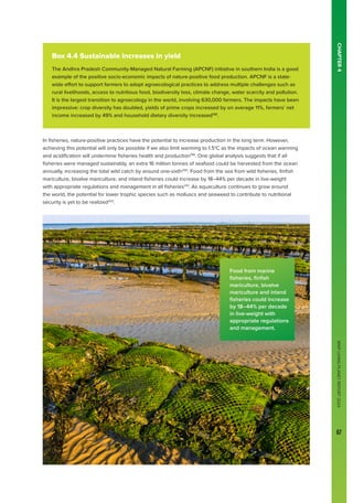 WWF
LIVING
PLANET
REPORT
2024
67
CHAPTER
4
In fisheries, nature-positive practices have the potential to increase production in the long term. However,
achieving this potential will only be possible if we also limit warming to 1.5°C as the impacts of ocean warming
and acidification will undermine fisheries health and production199
. One global analysis suggests that if all
fisheries were managed sustainably, an extra 16 million tonnes of seafood could be harvested from the ocean
annually, increasing the total wild catch by around one-sixth200
. Food from the sea from wild fisheries, finfish
mariculture, bivalve mariculture, and inland fisheries could increase by 18–44% per decade in live-weight
with appropriate regulations and management in all fisheries201
. As aquaculture continues to grow around
the world, the potential for lower trophic species such as molluscs and seaweed to contribute to nutritional
security is yet to be realized202
.
WWF
LIVING
PLANET
REPORT
2024
67
Box 4.4 Sustainable increases in yield
The Andhra Pradesh Community-Managed Natural Farming (APCNF) initiative in southern India is a good
example of the positive socio-economic impacts of nature-positive food production. APCNF is a state-
wide effort to support farmers to adopt agroecological practices to address multiple challenges such as
rural livelihoods, access to nutritious food, biodiversity loss, climate change, water scarcity and pollution.
It is the largest transition to agroecology in the world, involving 630,000 farmers. The impacts have been
impressive: crop diversity has doubled, yields of prime crops increased by on average 11%, farmers’ net
income increased by 49% and household dietary diversity increased198
.
Food from marine
fisheries, finfish
mariculture, bivalve
mariculture and inland
fisheries could increase
by 18–44% per decade
in live-weight with
appropriate regulations
and management.
 