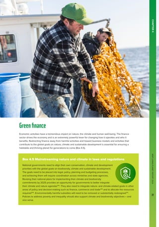 WWF
LIVING
PLANET
REPORT
2024
77
Box 4.5 Mainstreaming nature and climate in laws and regulations
National governments need to align their own conservation, climate and development
priorities with the global goals on biodiversity, climate and sustainable development.
The goals need to be placed into legal, policy, planning and budgeting processes,
and achieving them will require coordination across ministries and state agencies.
Revising their national plans for implementing their climate and biodiversity
commitments by 2025 provides an opportunity for governments to better integrate
their climate and nature agendas254
. They also need to integrate nature- and climate-related goals in other
areas of policy and decision-making such as finance, commerce and trade255
and to allocate the resources
required256
. Environmentally harmful subsidies will need to be removed or substantially redesigned215
.
Policies to address poverty and inequality should also support climate and biodiversity objectives – and
vice versa.
Greenfinance
Economic activities have a tremendous impact on nature, the climate and human well-being. The finance
sector drives the economy and is an extremely powerful lever for changing how it operates and who it
benefits. Redirecting finance away from harmful activities and toward business models and activities that
contribute to the global goals on nature, climate and sustainable development is essential for ensuring a
habitable and thriving planet for generations to come (Box 4.5).
CHAPTER
4
WWF
LIVING
PLANET
REPORT
2024
77
 
