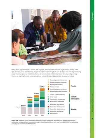 WWF
LIVING
PLANET
REPORT
2024
79
CHAPTER
4
Filling these gaps demands a seismic shift at global, national and local levels to get finance flowing in the
right direction, away from harming the planet and toward healing it. We can do this in two mutually reinforcing
ways: financing green, or mobilizing finance for conservation and climate impact at scale, and greening
finance, or aligning financial systems to deliver nature, climate and sustainable development goals.
Figure 4.15 Additional annual investment by activity to reach global goals. Future finance needed for protection,
sustainable management and restoration through nature-based solutions each year from 2025–2050 to meet global
goals. Figure adapted from UNEP 2023258
.
Protection
Sustainable
landmanagement
Restoration
Avoided grassland conversion
Avoided peatland conversion
Avoided deforestation
Protected areas
Avoided seagrass conversion
Avoided mangrove conversion
Grazing - optimal intensity
Cover crops
Agroforestry - silvopasture
Agroforestry - silvoarable
Restoration of peatlands
Restoration of mangroves
Restoration of saltmarshes
Restoration of seagrass
Reforestation
$200bn
2022
$436bn
$546bn
$737bn
2025 2030 2050
Current
 