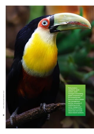 WWF
LIVING
PLANET
REPORT
2024
82
Policymakers,
regulators, asset
owners, asset
managers and leading
global companies are
all increasing their
focus on nature-related
risk management
and the necessity of
mobilizing private
sector engagement
and finance to tackle
nature loss and scale
nature-based solutions.
 