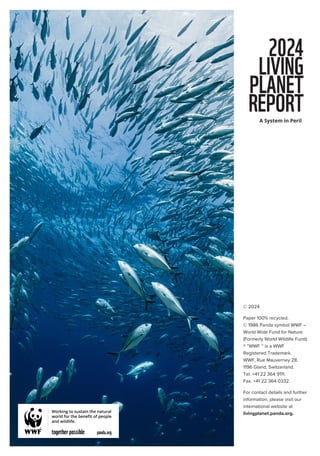 WWF
LIVING
PLANET
REPORT
2024
94
© 2024
Paper 100% recycled.
© 1986 Panda symbol WWF –
World Wide Fund for Nature
(Formerly World Wildlife Fund)
® “WWF ‘’ is a WWF
Registered Trademark.
WWF, Rue Mauverney 28,
1196 Gland, Switzerland.
Tel. +41 22 364 9111.
Fax. +41 22 364 0332.
For contact details and further
information, please visit our
international website at
livingplanet.panda.org.
 