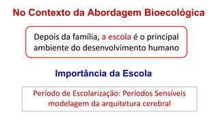 No Contexto da Abordagem Bioecológica
Depois da família, a escola é o principal
ambiente do desenvolvimento humano
Importância da Escola
Período de Escolarização: Períodos Sensíveis
modelagem da arquitetura cerebral
 