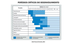 PERÍODOS CRÍTICOS DO DESENVOLVIMENTO
Sholl-Franco & Aranha, 2015
 