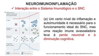 NEUROIMUNOINFLAMAÇÃO
(a) Um certo nível de inflamação e
autoimunidade é necessário para o
funcionamento ideal do SNC, mas
uma reação imune avassaladora
leva à perda neuronal e à
diminuição cognitiva.
Pape et al. 2019. Nature Reviews | Neurology. doi.org/10.1038/s41582-019-0174-4
 Interação entre o Sistema Imunológico e o SNC
 