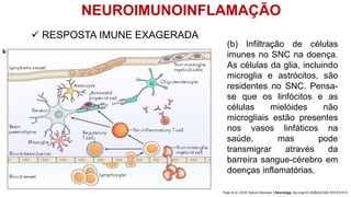 NEUROIMUNOINFLAMAÇÃO
Pape et al. 2019. Nature Reviews | Neurology. doi.org/10.1038/s41582-019-0174-4
 RESPOSTA IMUNE EXAGERADA
(b) Infiltração de células
imunes no SNC na doença.
As células da glia, incluindo
microglia e astrócitos, são
residentes no SNC. Pensa-
se que os linfócitos e as
células mielóides não
microgliais estão presentes
nos vasos linfáticos na
saúde, mas pode
transmigrar através da
barreira sangue-cérebro em
doenças inflamatórias.
 