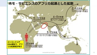 ۥ?ԥ󥹤ΥեꥫԴȤɢ
Copyright@ Koji fukuoka 12
https://www.brh.co.jp/publication/journal/087/research/1
ߥȥɥꥢ
DNAǡ
ꥫԴh
 