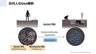 ŴˤDNA
9
https://scienceportal.jst.go.jp/explore/review/20221013_e01/
 