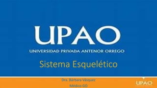 Sistema Esquelético
Dra. Bárbara Vásquez
Médico GO
 
