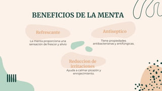 BENEFICIOS DE LA MENTA
Refrescante
La menta proporciona una
sensación de frescor y alivio
Antiseptico
Tiene propiedades
antibacterianas y antifúngicas.
Reduccion de
irritaciones
Ayuda a calmar picazón y
enrojecimiento.
 