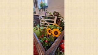 Kingsnympton Open Gardens weekend July 2024