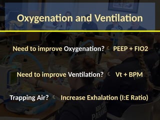 Oxygenation and Ventilation
Need to improve Oxygenation? PEEP + FIO2
Need to improve Ventilation?  Vt + BPM
Trapping Air?  Increase Exhalation (I:E Ratio)
 