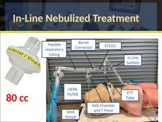 In-Line Nebulized Treatment
80 cc
 