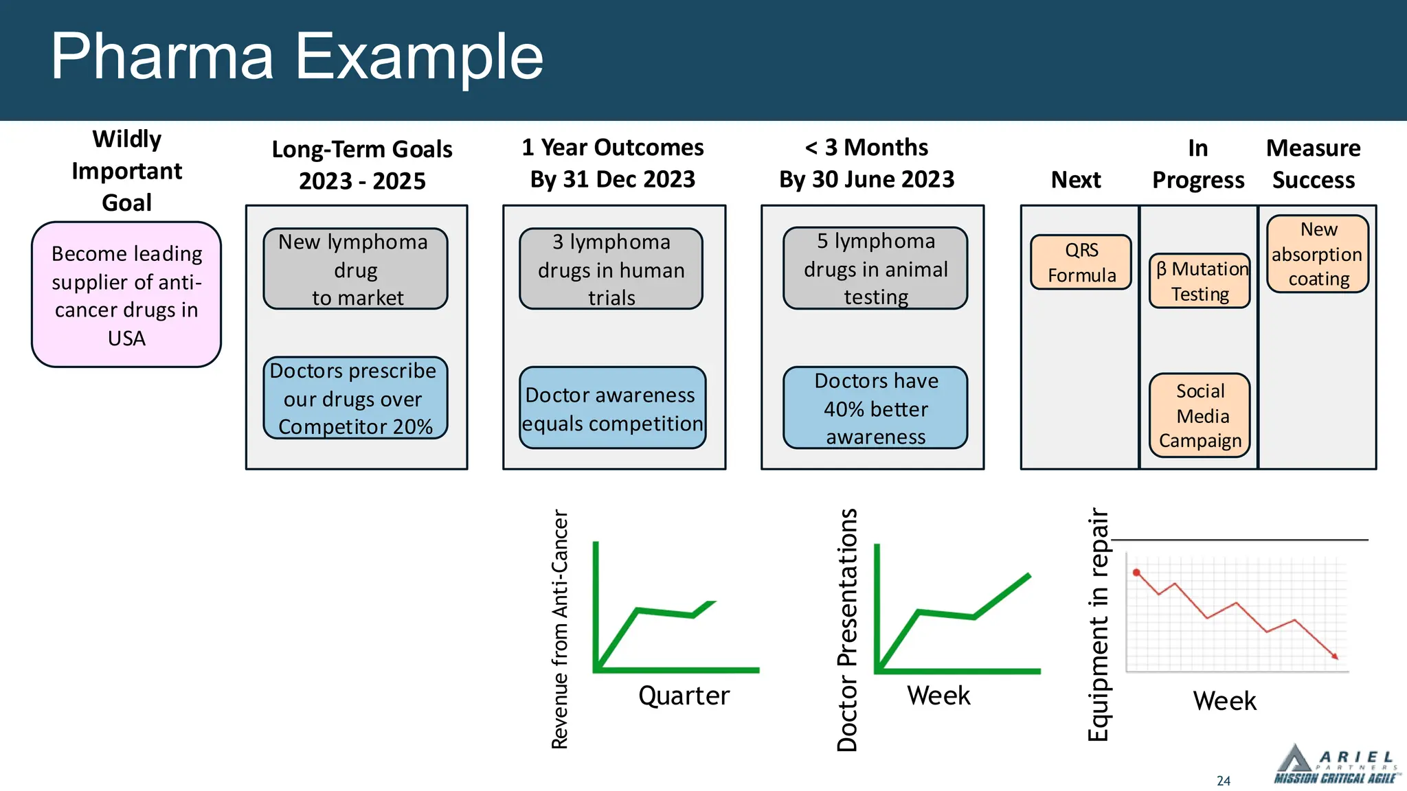 24
Pharma Example
Revenue
from
Anti-Cancer
Doctor
Presentations
Week
Become leading
supplier of anti-
cancer drugs in
USA
Long-Term Goals
2023 - 2025
Wildly
Important
Goal
1 Year Outcomes
By 31 Dec 2023
< 3 Months
By 30 June 2023 Next
In
Progress
Measure
Success
New lymphoma
drug
to market
3 lymphoma
drugs in human
trials
5 lymphoma
drugs in animal
testing
Doctors have
40% better
awareness
Doctors prescribe
our drugs over
Competitor 20%
Doctor awareness
equals competition
QRS
Formula β Mutation
Testing
Social
Media
Campaign
New
absorption
coating
Equipment
in
repair
Week
Quarter
 