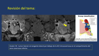 CLASIFICACION DE KNPS 2024_361_PE_Cabeza y Cuello.pdf