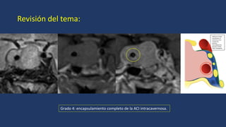 CLASIFICACION DE KNPS 2024_361_PE_Cabeza y Cuello.pdf