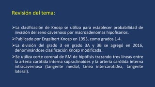 CLASIFICACION DE KNPS 2024_361_PE_Cabeza y Cuello.pdf