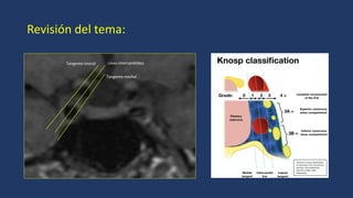 CLASIFICACION DE KNPS 2024_361_PE_Cabeza y Cuello.pdf