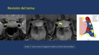 CLASIFICACION DE KNPS 2024_361_PE_Cabeza y Cuello.pdf