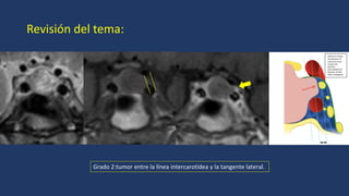 CLASIFICACION DE KNPS 2024_361_PE_Cabeza y Cuello.pdf