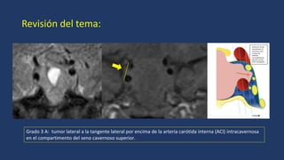 CLASIFICACION DE KNPS 2024_361_PE_Cabeza y Cuello.pdf