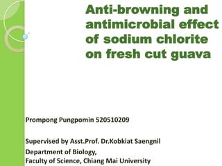 Anti-browning and
                   antimicrobial effect
                   of sodium chlorite
                   on fresh cut guava




Prompong Pungpomin 520510209

Supervised by Asst.Prof. Dr.Kobkiat Saengnil
Department of Biology,
Faculty of Science, Chiang Mai University
 
