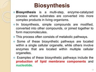 2024_Chapter_4_Edited_Cellular_Metabolism_and_Metabolic_Disorders (4).pptx
