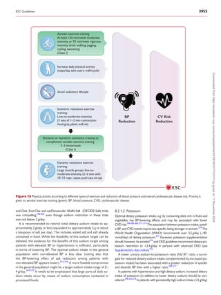 2024 ESC GUIDELINES FOR MANAGEMENT OF ELEVATED BLOOD PRESSURE AND ...