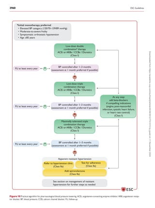 2024 ESC GUIDELINES FOR MANAGEMENT OF ELEVATED BLOOD PRESSURE AND ...